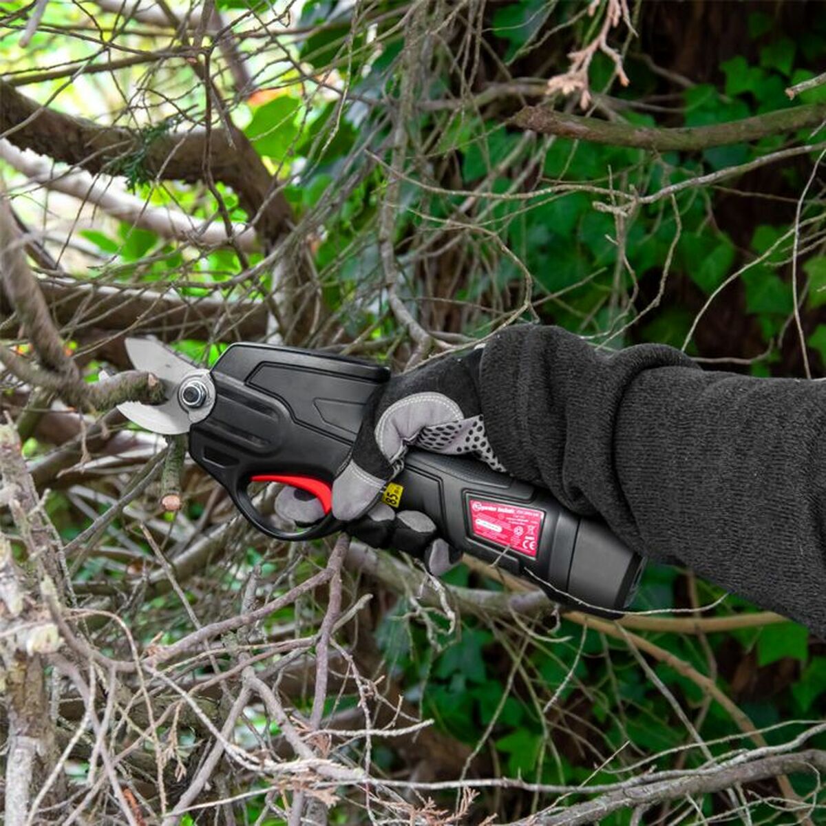 Tesouras de Poda